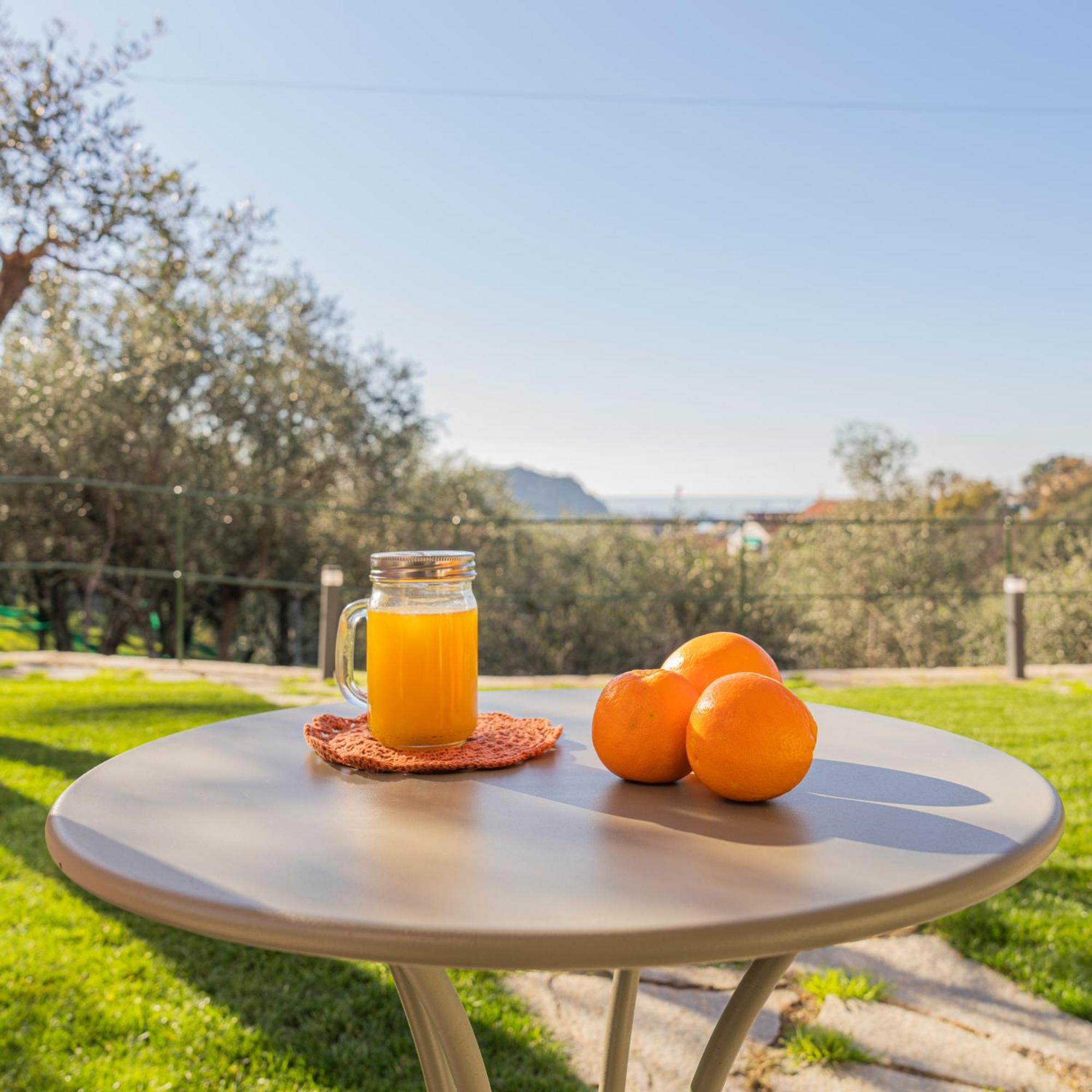 Villa Chicchi - Sestri Levante Zewnętrze zdjęcie